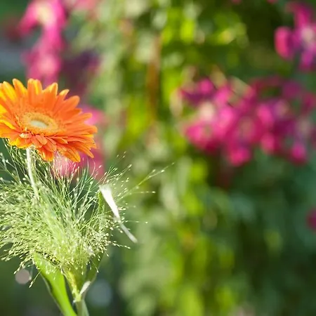 Geyer Hotel Klagenfurt am Woerthersee