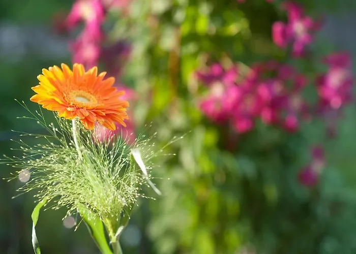 Geyer מלון קלגנפורט